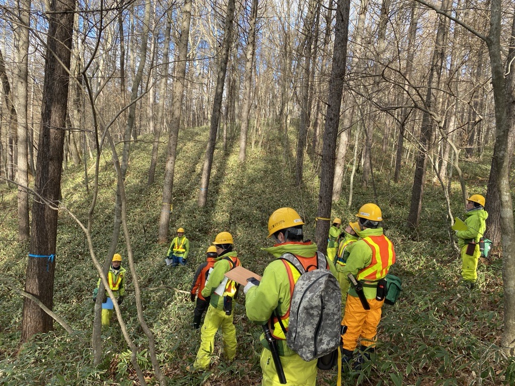 Group training within a company-owned forest