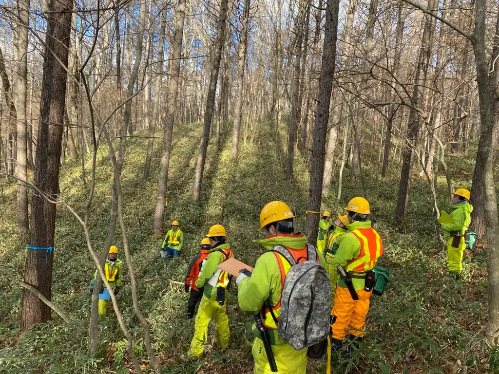 Group training within a company-owned forest