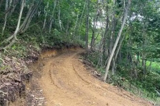 Narrow-width forestry work roads