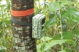 Wildlife camera trap