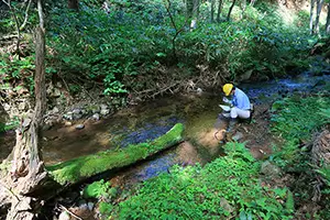 Daily monitoring activities