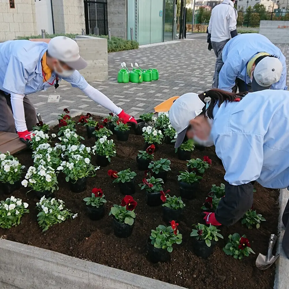 Replanting flowers in the flowerbeds
（Saitama Office）