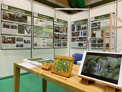 展示の様子
